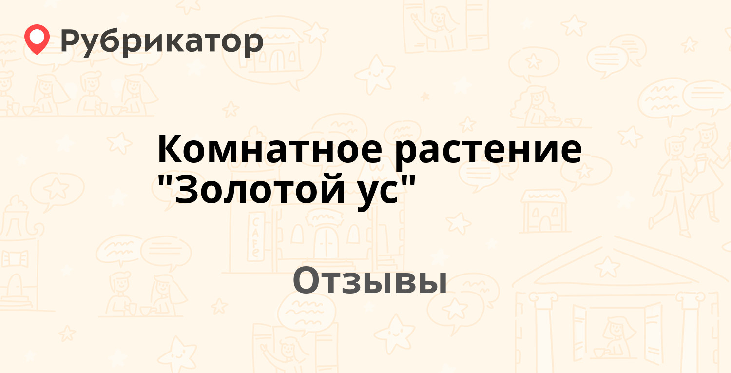 Комнатное растение 