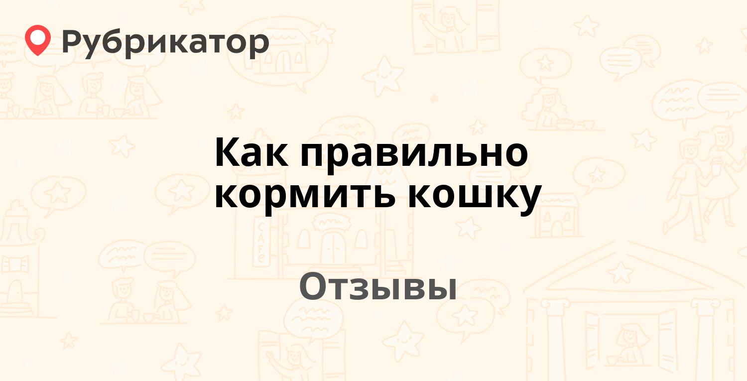 Как правильно кормить кошку — рекомендуем! 1 отзыв и фото | Рубрикатор
